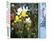 Figured'Art Paint by Numbers Kit for Adults Colorful field of Flowers 16"x20" - Craft Art Painting DIY Kit Rolled Canvas without frame